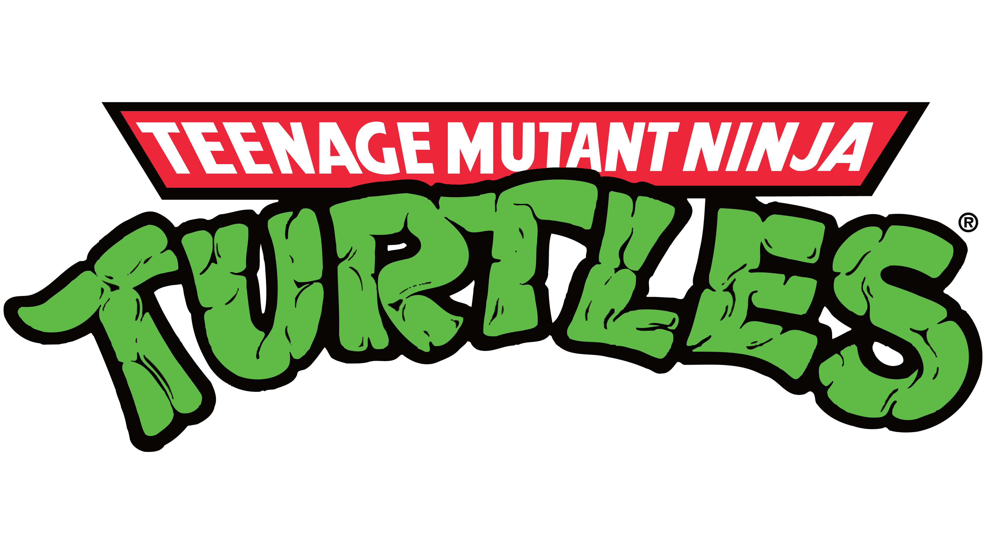 Team Scoring Leader: Turtles